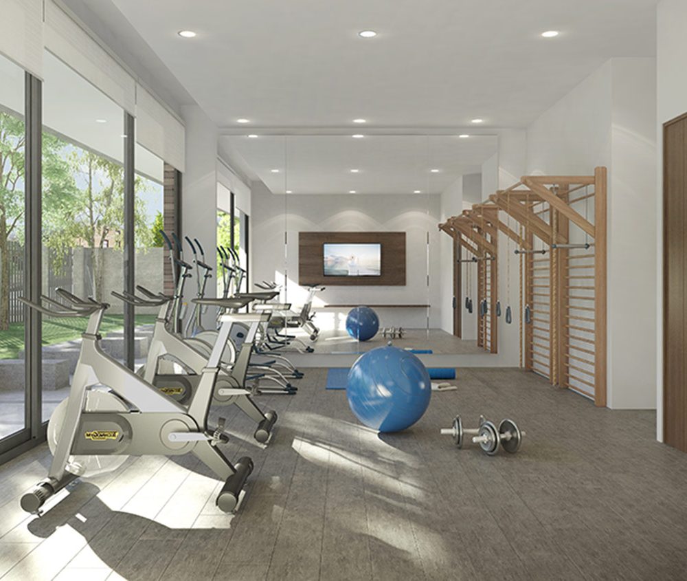 Gimnasio